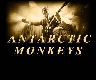 Antarctic Monkeys - Arctic Monkeys Tribute