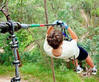 TreeTop Challenge Tamborine