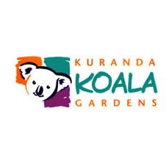 Kuranda Koala Gardens