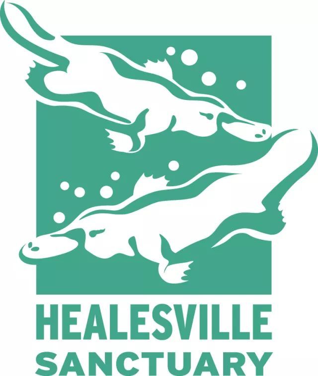 Healesville Sanctuary 2024