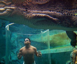 Crocosaurus Cove Cage of Death